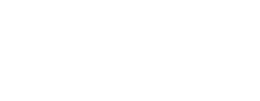 Priority Explorer & Visas